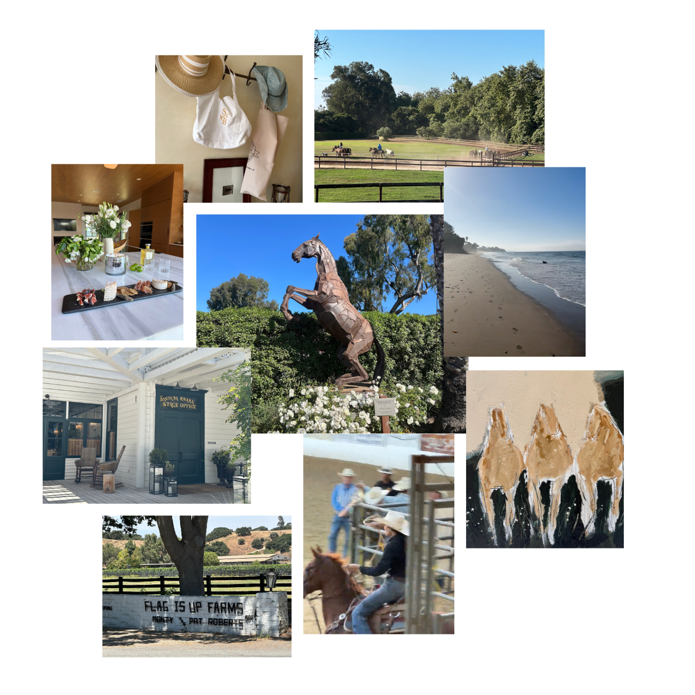 Santa Ynez Valley mood board inspiration for Stick and Ball cardigan design