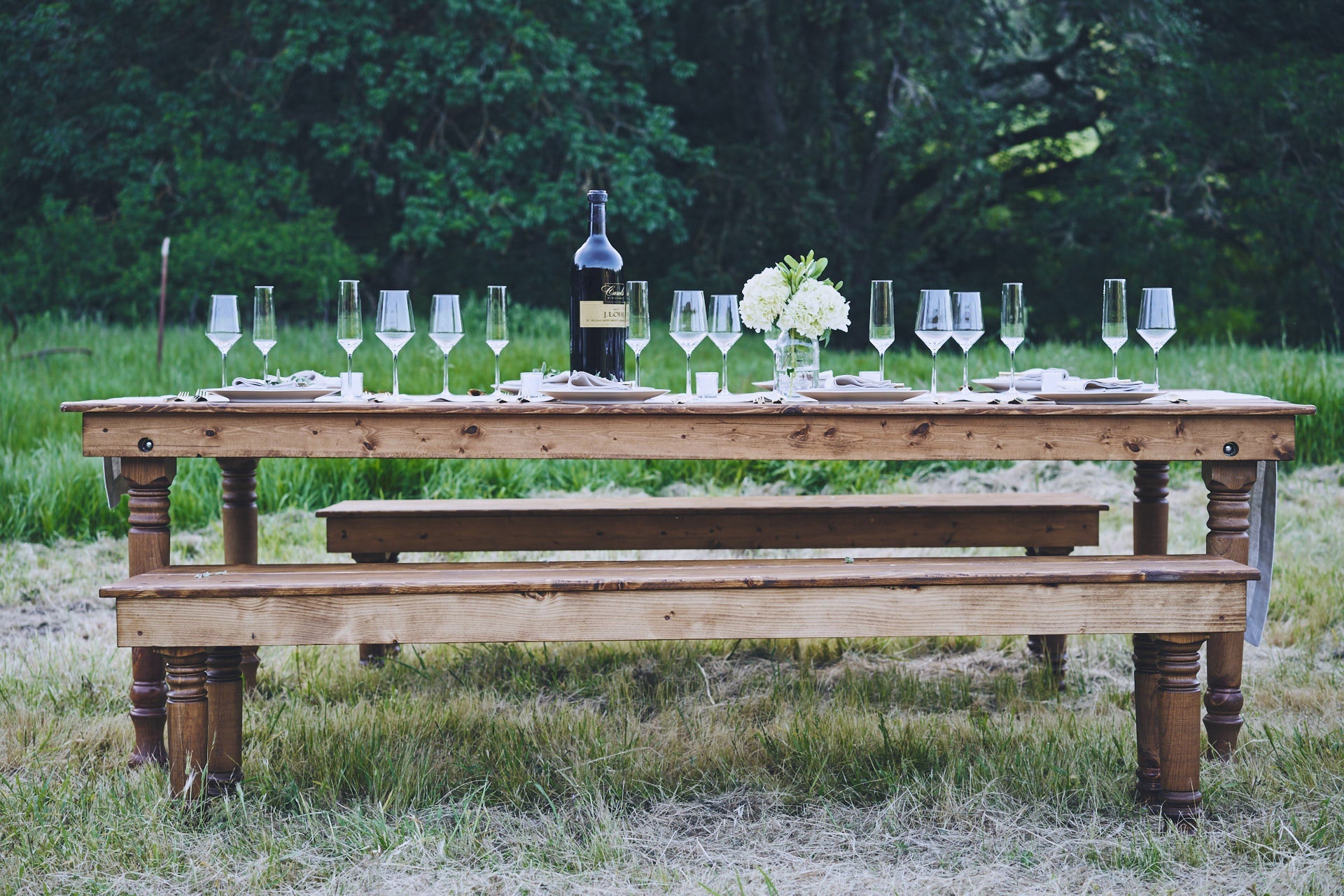 Honoring A Year of Transition This Thanksgiving