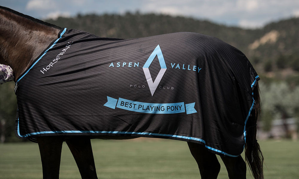 Aspen Valley Polo Club Colorado mountains and polo field