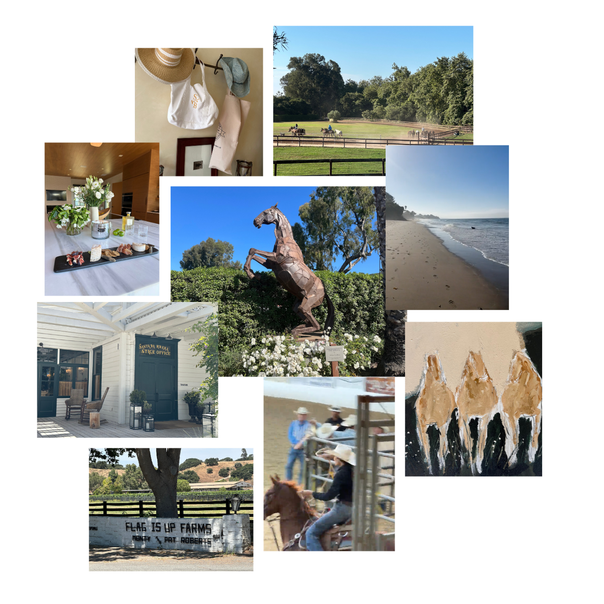 Santa Ynez Valley mood board inspiration for Stick and Ball cardigan design