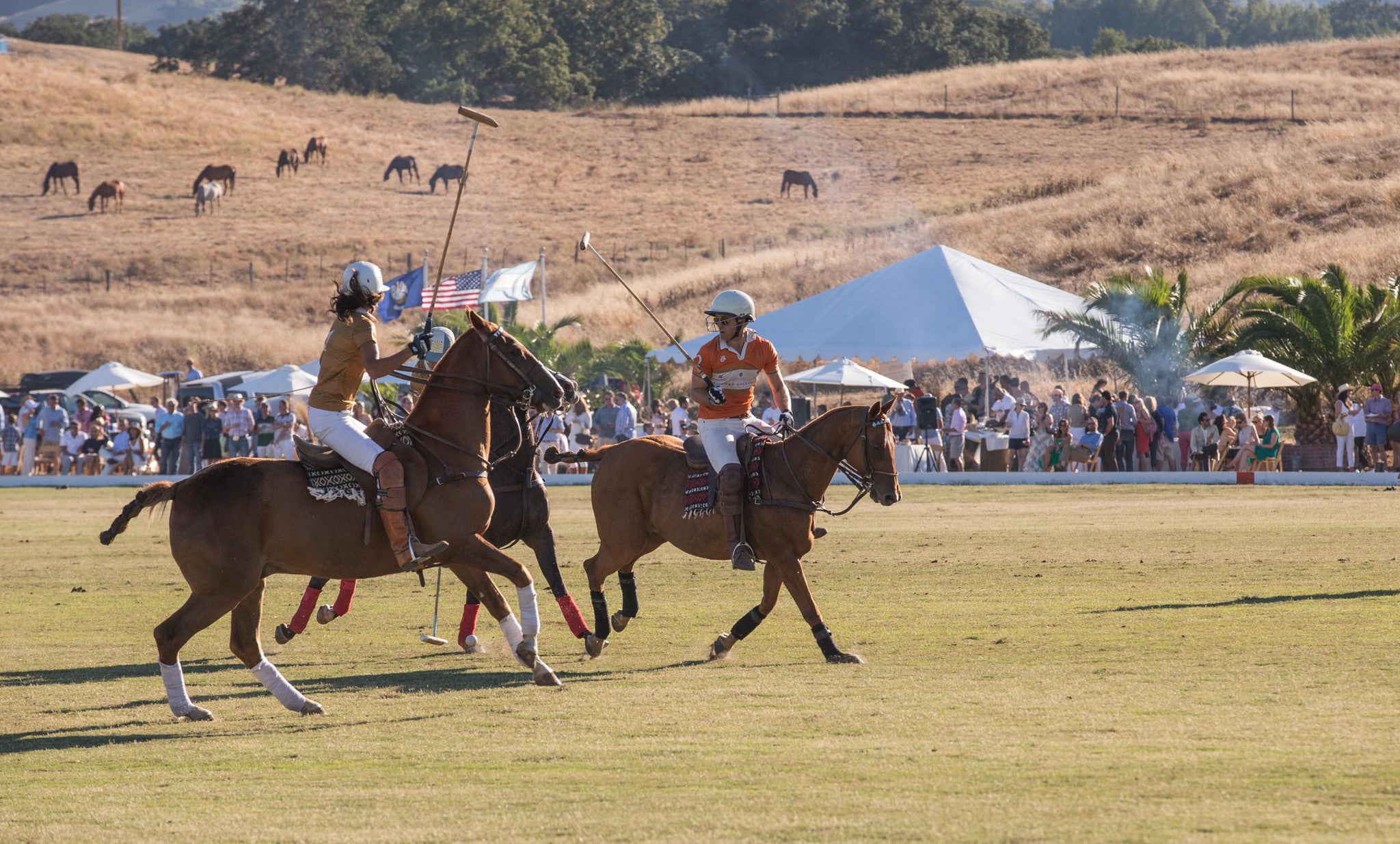 Stick & Ball Oyster Cup