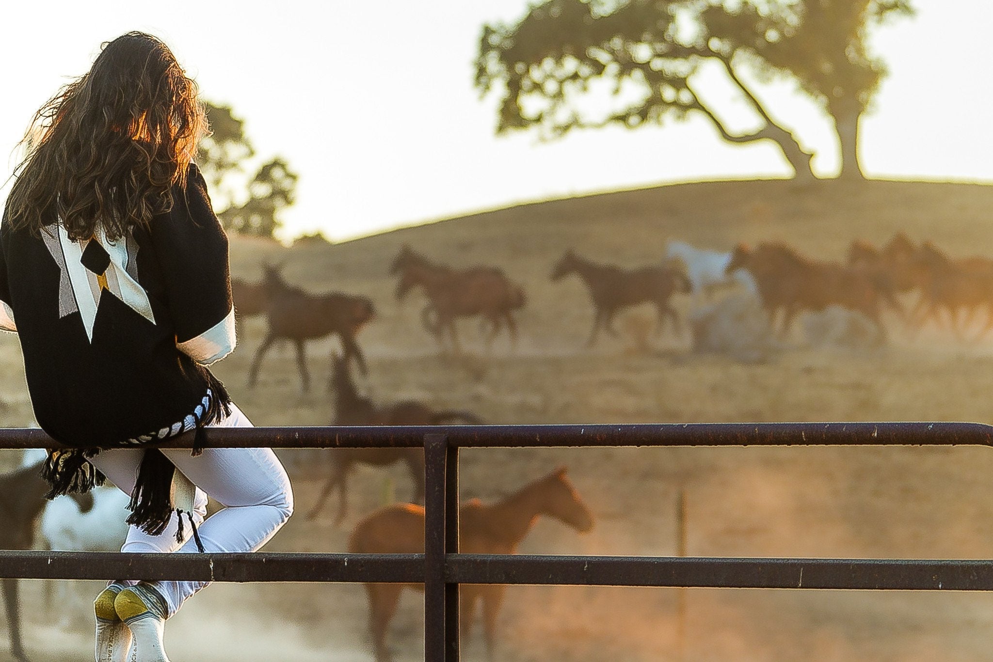 woman-sitting-on-a-fence-overlooking-a-field-of-horses-wearing-the-stick-and-ball-apparel-unisex-inca-star-alpaca-poncho-black